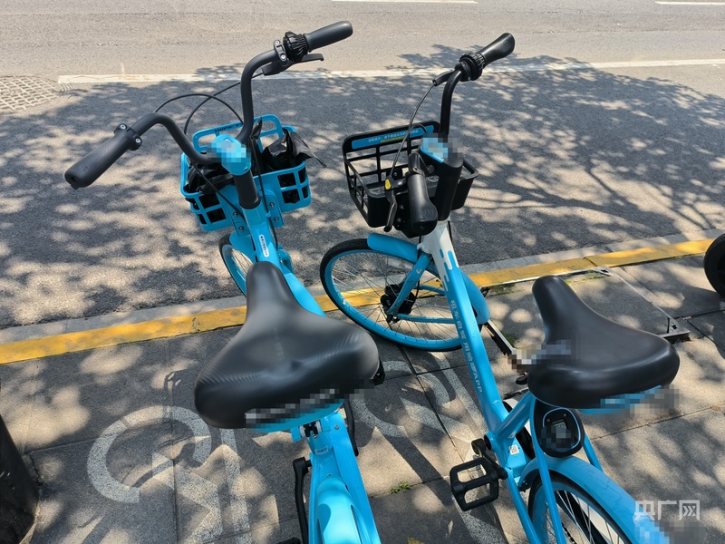 内有情趣用品律师称涉案人员或将面临行政拘留冰球突破正规网站上海警方通报共享单车坐